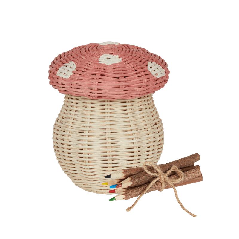 Handwoven Rattan Porcini Basket with Colored Twig Pencils – Musk - Nssoma